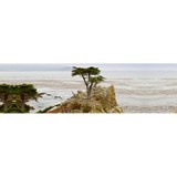 Archer Daniel F - Solicitors & Lawyers in Monterey