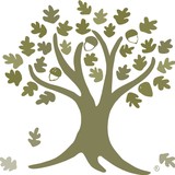 Kavesh Minor & Otis Inc - Solicitors & Lawyers in Woodland Hills