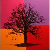 Berger Cherylynne - Marriage Counselling & Family Counselling in Pasadena