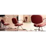 Buggie Nix-Delousing Salon - Other in Fairfax