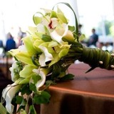 Bloomers of Larkspur - Other in Larkspur