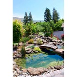 Saunders Designs - Landscape Architects in Novato