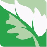 Fyr Landscaping Inc - Landscaping in Van Nuys