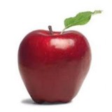 Know Food Now - Other in San Anselmo