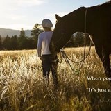 Corral Of Comfort Horse Rescue Inc - Wholesale in Palmdale