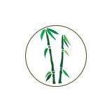 Bamboo Shoots Photography - Commercial Photography in Pasadena