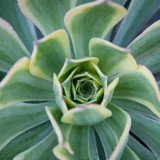 Ept Design - Landscape Architects in Pasadena