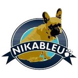 Nika Bleu Marketing - Marketing in Carmel-by-the-Sea