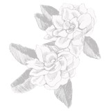 Ramsgate Floral Designs-Bonnie - Florists in Glendale