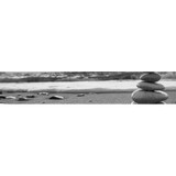 Thomas Brand Consulting - Other in Pacific Grove