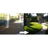 Lawn Kings Inc - Other in Castaic