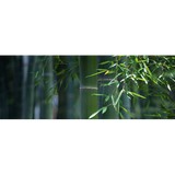 Green Eagle Enterprise - Home Builders & Building Contractors in Walnut Creek