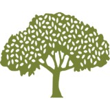 Center For Developing Kids - Occupational Therapy in Pasadena