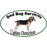 Amtech Termite Control - Pest Control in Pasadena