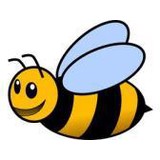 BEE REMOVAL VAN NUYS Open 7 Days a Week, Free Estimates - Pest Control in Van Nuys