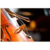 Angels Musical Instruments Inc - Other in Azusa
