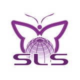 SLS Consulting, Inc - Web Design & Development in Pasadena