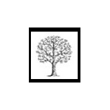 Rock's Tree & Hillside Service - Tree Services in Pasadena