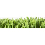 Diaz & Flores Landscape - Landscape Architects in Livingston