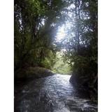 Fields Family Counseling Services, Inc. - Counseling & Mental Health in Pasadena