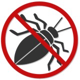 El Monte Pest and Rodent Control - Pest Control in El Monte