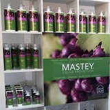 Mastey De Paris Inc - Manufacturer in Valencia