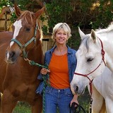 Weston Judith - Marriage Counselling & Family Counselling in San Rafael