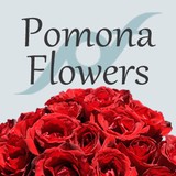 Pomona Flowers - Other in San Dimas