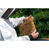 Suppress Termite  Pest Control - Pest Control in Northridge