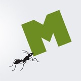 Mighty Ant DataWorks - Software Development in Pasadena