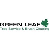 Green Leaf Trees - Landscaping in Calabasas