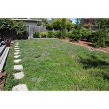 Efrain's Landscape - Landscape Architects in San Rafael