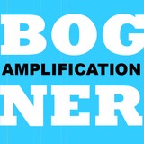 Bogner Amplification - Guitar Stores