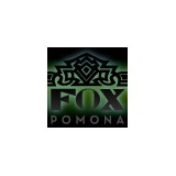 Sky Fox - Marketing in Pomona