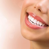Stott Alan L DDS - Dentists in Lancaster