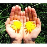 Lea Wildflower Massage Therapist - Rehabilitation Center in San Rafael