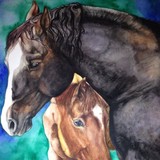 Marshall Canyon Equestrian Center - Other in La Verne