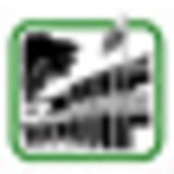 Custom House Realty & Property - Other in Monterey