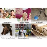 Heaven's Best Carpet Cleaning - Other in Covina