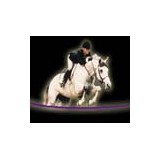 Windgate Saddlery - Other in Monrovia
