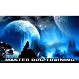 Master Dog Training - Other in San Gabriel