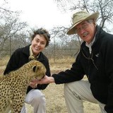 Ebright Travel - Travel Agents in Glendale