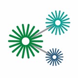 Tissue Banks-San Rafael - Other in San Rafael