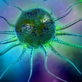 Immuno Cellular Therapeutics - Other in Calabasas