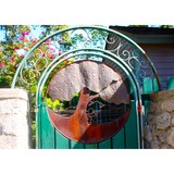 Sierra Madre Community Nursery - Other in Sierra Madre