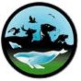 Humane Wildlife Solutions - Other in Monterey