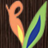 Dr. Kaur's WELLNESS SOLUTIONS - Other in Glendale