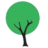 Rayner Landscaping Inc - Landscaping in Novato