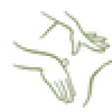 Ghanem Ibrahim DC - Chiropractors in Anaheim