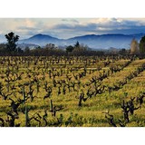 Dickenson Peatman & Fogarty - Solicitors & Lawyers in Napa